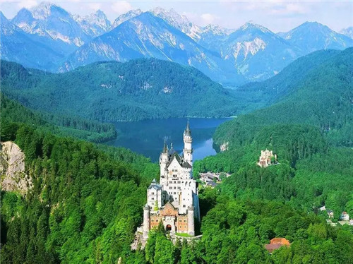 怎么给金蟾蜍开光？