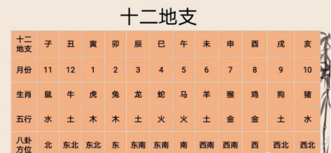 十天干、十二地支的万物类象