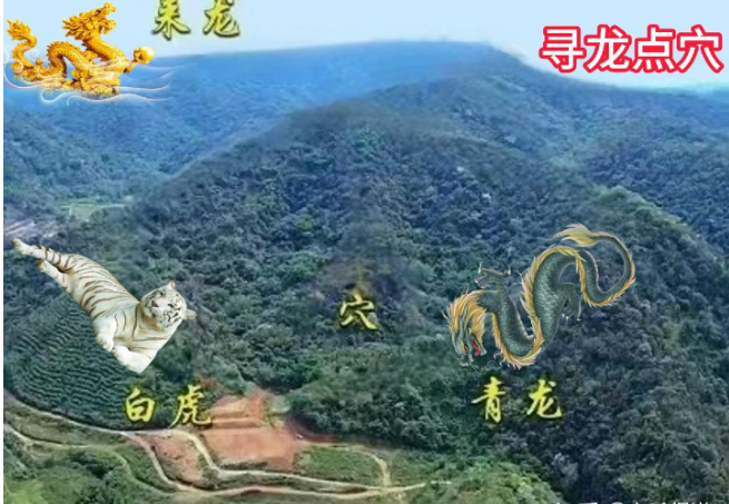 寻龙点穴100条准则