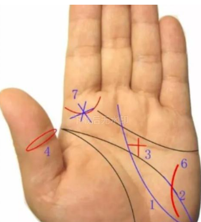 适合学习易经的手相特征