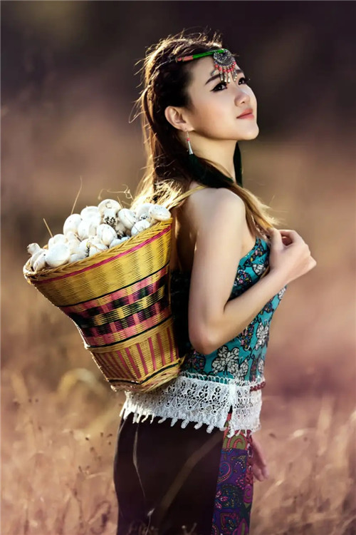 谈谈自己对命与运的看法