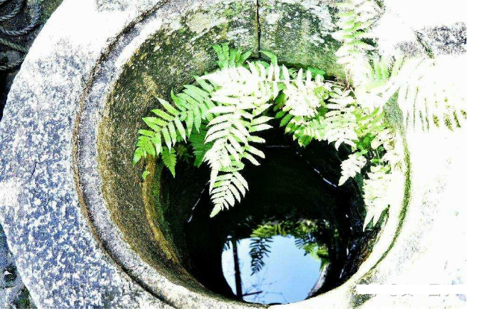 神奇的偏方（关于生育）