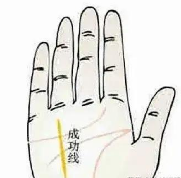 事业有成的手相特征