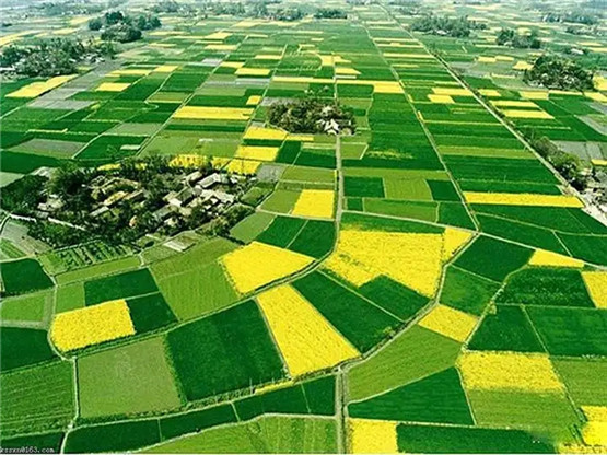 玉璧在风水中的作用