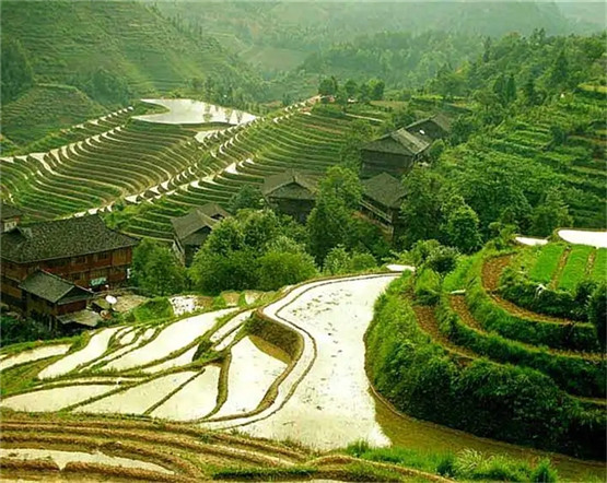 何为杀师日？当风水师在帮人看地择日时要知道什么是杀师日