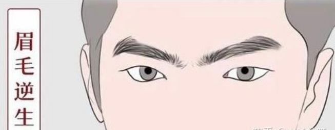 有暴力倾向的面相特征（女性收藏避坑版）