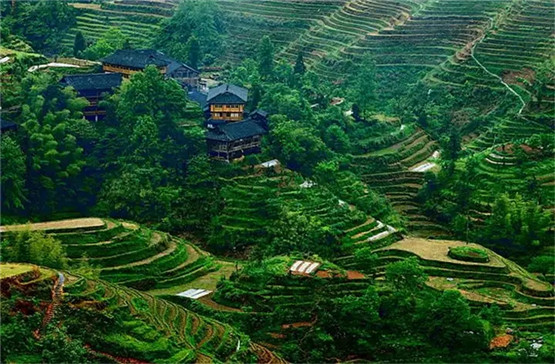 佛家的五戒和儒家的五常