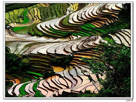 地主财神是什么，地主财神的摆放