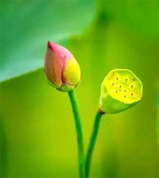 何为阴阳？何为五行？（四万字篇）3