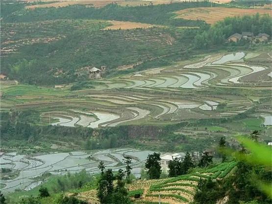 何为阴阳？何为五行？（四万字篇）4