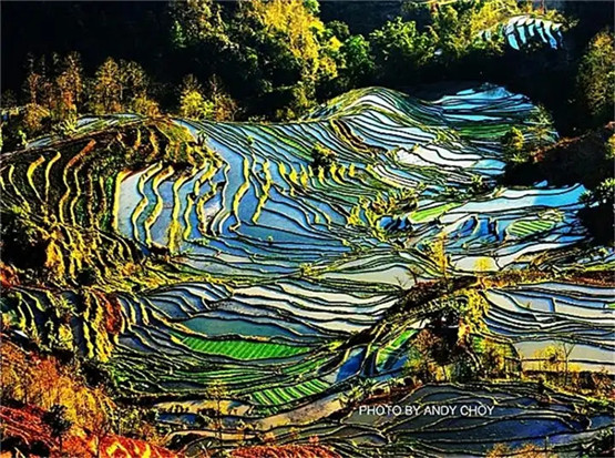 民间“上香断法”