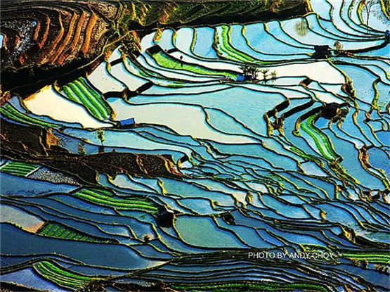 火命人带啥最招财，火命人最招财吉祥物