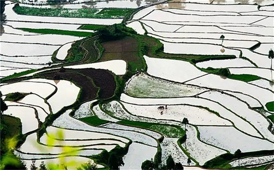 如何看自己在玄学方面是否有天份？