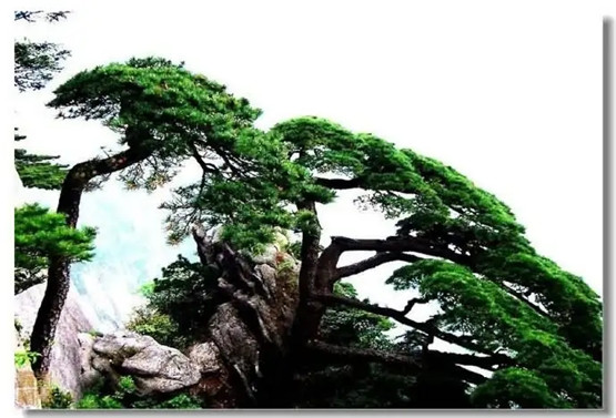 长期倒霉怎么办？道门祛“霉运”秘法