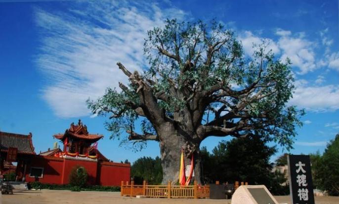 民间传说的“招魂法”