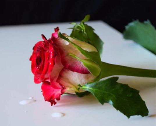 “催姻缘”秘法，已婚的切不可尝试