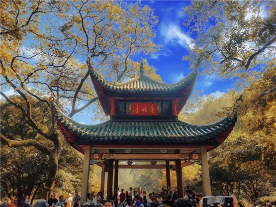 易经那八个卦象是要告诉我们什么规律？