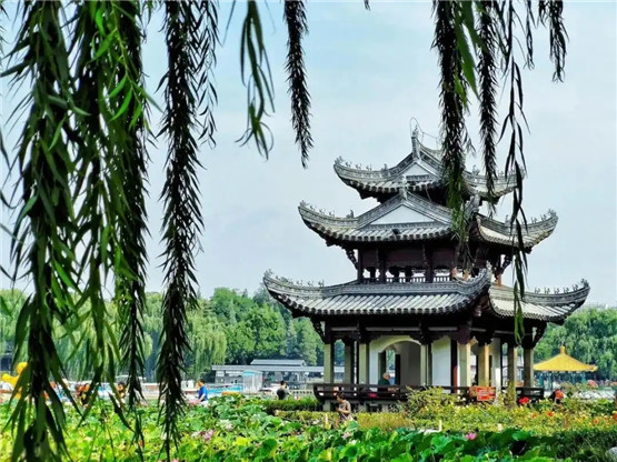 学周易有什么用处？