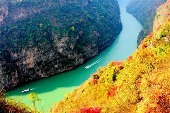 “金水食伤”和“木火食伤”的深度解析，两种食伤有何区别呢？