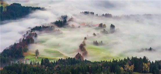 八字“财星制印”为用者喜欢不走寻常路，它的底层逻辑如何理解？