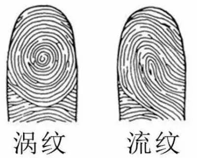 从手指纹路看命运好坏