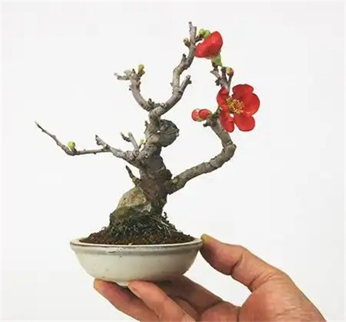 学习易学需要注意什么，从哪里开始，有什么弯路是必须避开的？