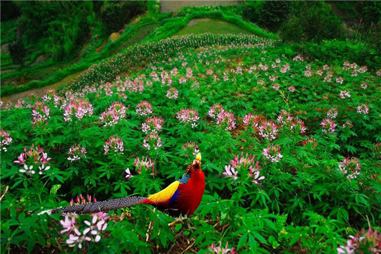 感情姻缘不利的面相