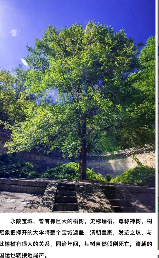 风水界 各个流派应用的吉凶规律