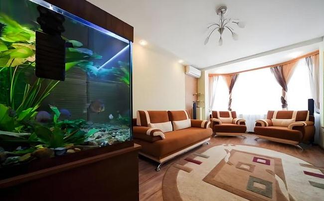 家中开门见到什么摆件最好，门口的风水禁忌