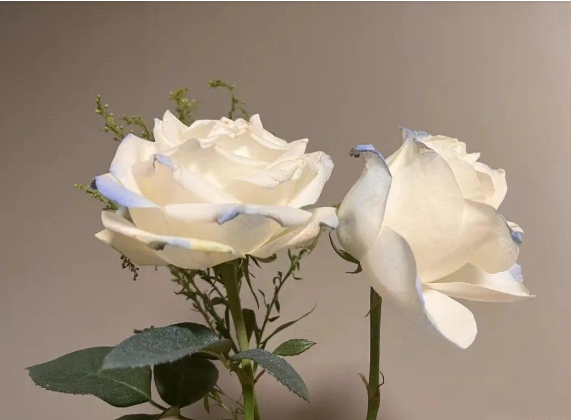 灵明吉凶自测法——目通玄机，心映吉凶