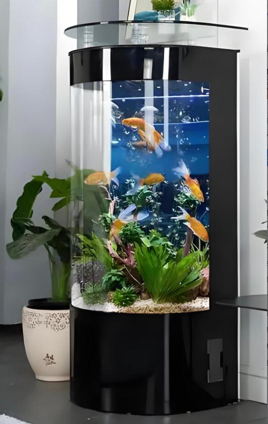 风水调理的依据，是什么原理？