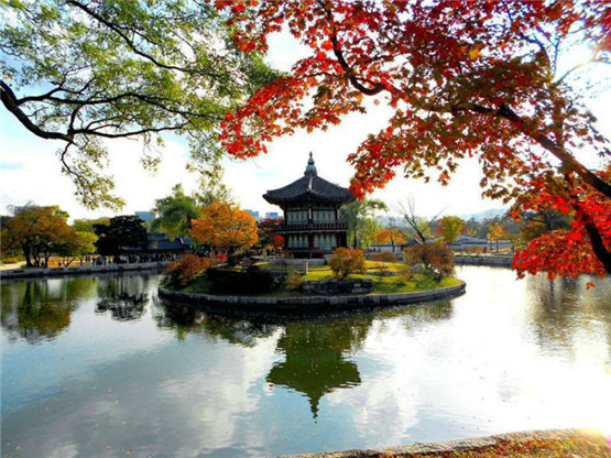 十二地支合冲刑害绝密口诀