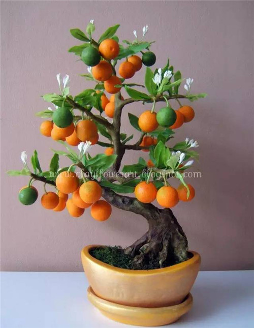 家里放什么可以防小三