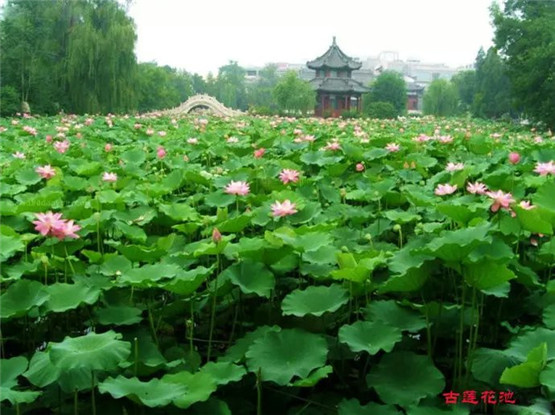 喜欢周易的都是些什么人？