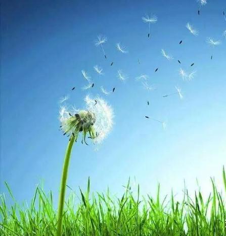 「周易篇」09-易经64卦都在讲什么？