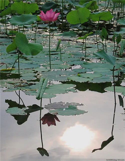 命中缺水的人戴什么最旺