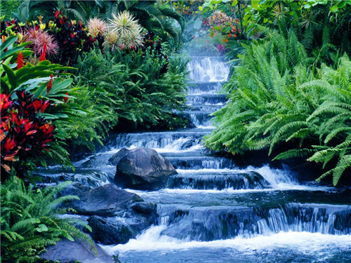 阴宅寻龙点穴法：摇鞭派的阴宅点穴歌诀