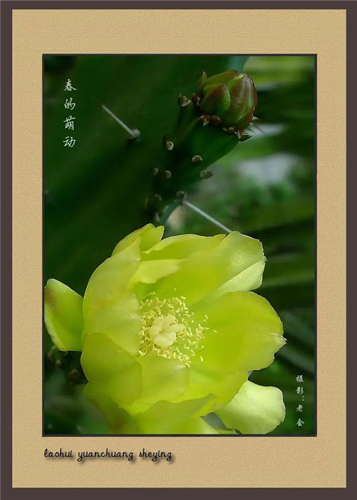 一秒看懂六十四卦：卦名、卦象、卦义、卦德、卦辞、卦幺