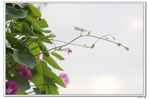 六十四卦真实用意