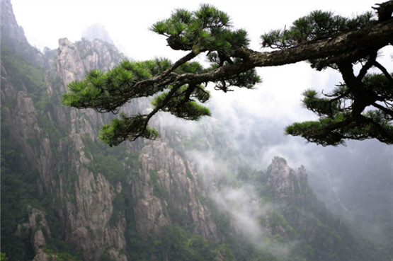 《易经》中隐藏的三条人生智慧，够用一辈子，值得收藏！