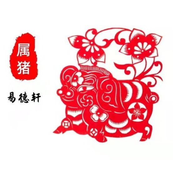 生肖属猪人今日运势运程财运吉凶（2026年8月23日）详解查询